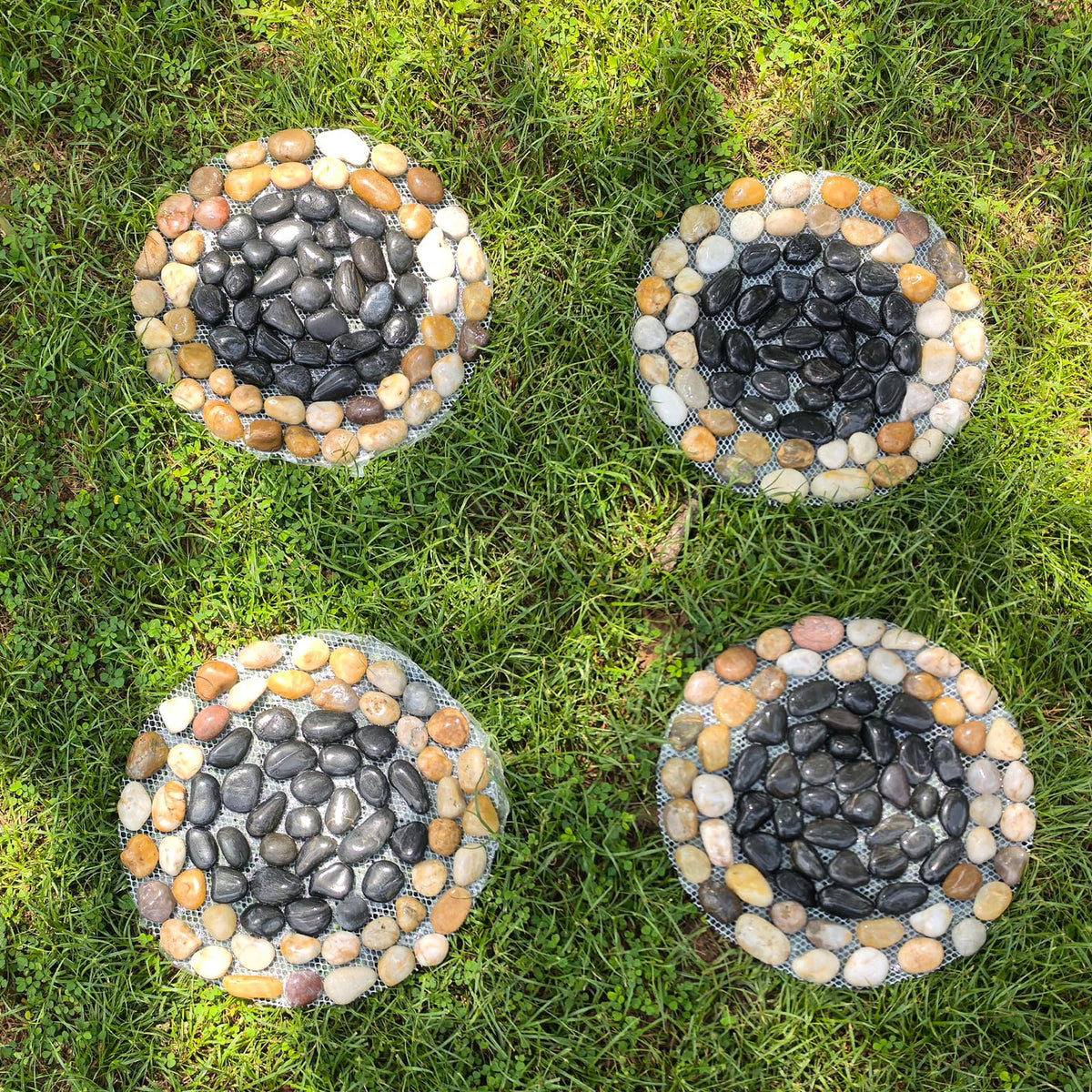 EYZH 6-pack packaging ready for garden decor and walkways