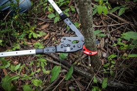 EZ Kut G2 cuts branches up to 1.5 inches for serious pruning.