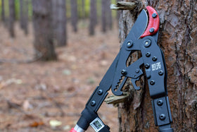 EZ Kut G2 extended reach enables pruning without ladders.