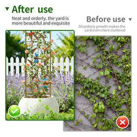 EZ4ENCE trellis used with a potted plant for vertical growth support.