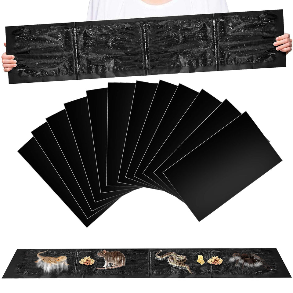 Ezoon 12-pack extra-large glue traps collection for versatile pest control.