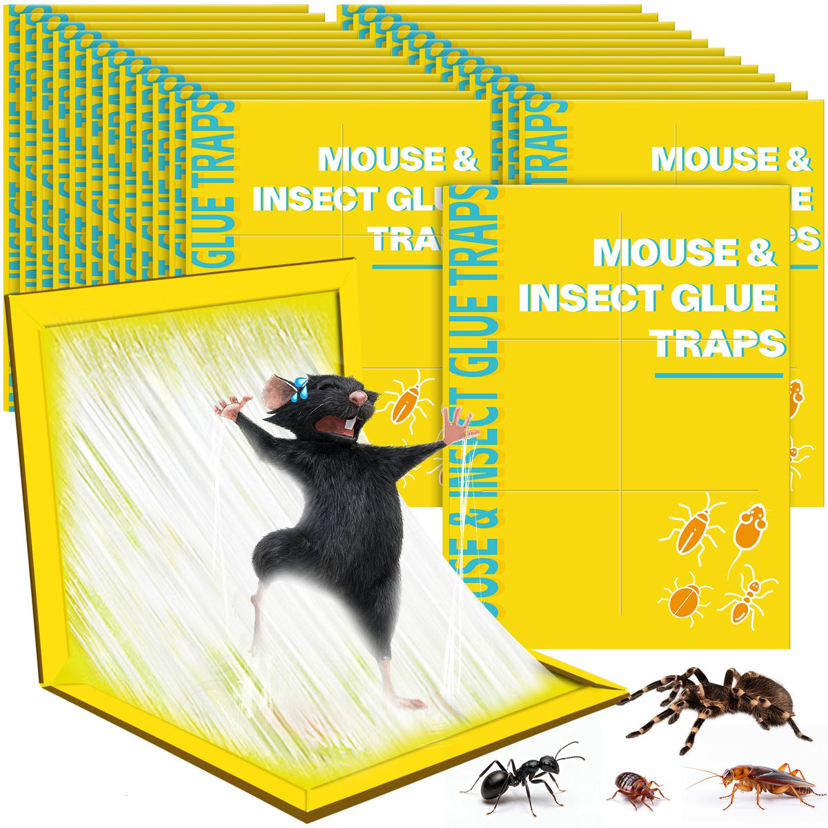 Ezoon 24-pack sticky traps for indoor use to catch mice.