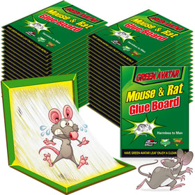 Ezoon 36-pack large mouse glue traps ready for kitchen, garage, or outdoor use.