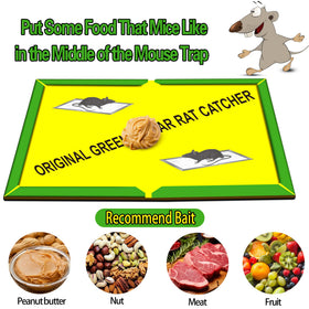 Ezoon bait-ready layout centers preferred foods for better lure.