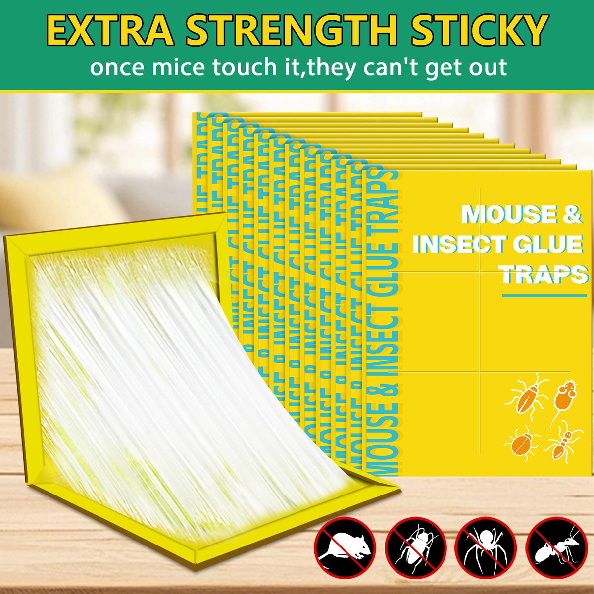 Ezoon sticky trap with easy-set design for quick placement.
