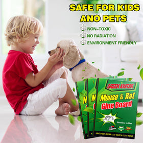 Ezoon traps designed for indoor and outdoor use without weather sensitivity.
