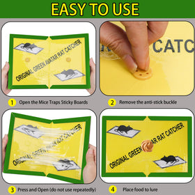 Ezoon glue traps kept away from children and pets for safety.