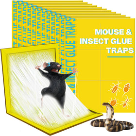 Ezoon sticky mouse trap with strong adhesive captures indoors.