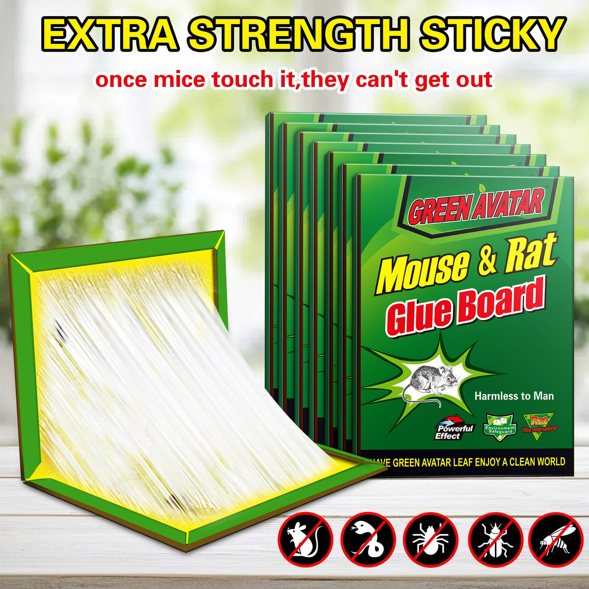 Ezoon sticky trap set shows strong adhesion for fast pest capture.