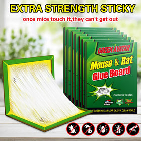 Ezoon sticky trap set shows strong adhesion for fast pest capture.