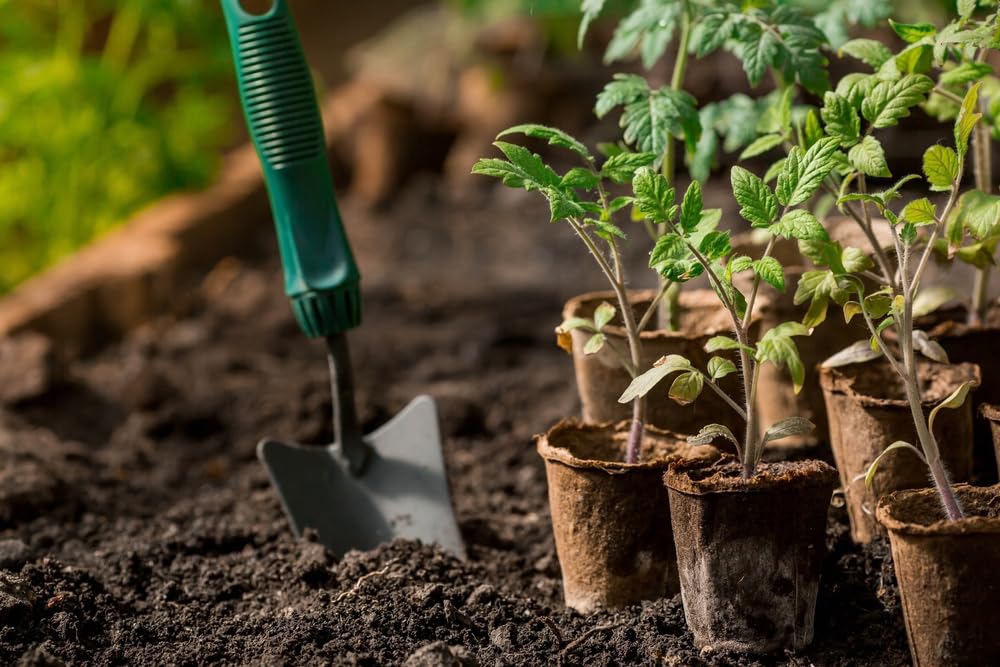 Fabiacci eco friendly seedling pots for bulk cultivation and organized schedules.