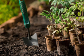 Fabiacci eco friendly seedling pots for bulk cultivation and organized schedules.