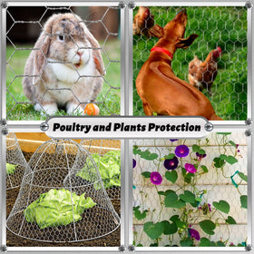 Fabulas chicken wire for DIY crafts like wreath frames and decorative grids.