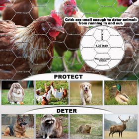 Fabulas chicken wire garden fence applied to protect vegetable beds while maintaining visibility.