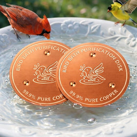 Factee bird bath copper disk 2-pack rests at the bottom to help keep water clearer.