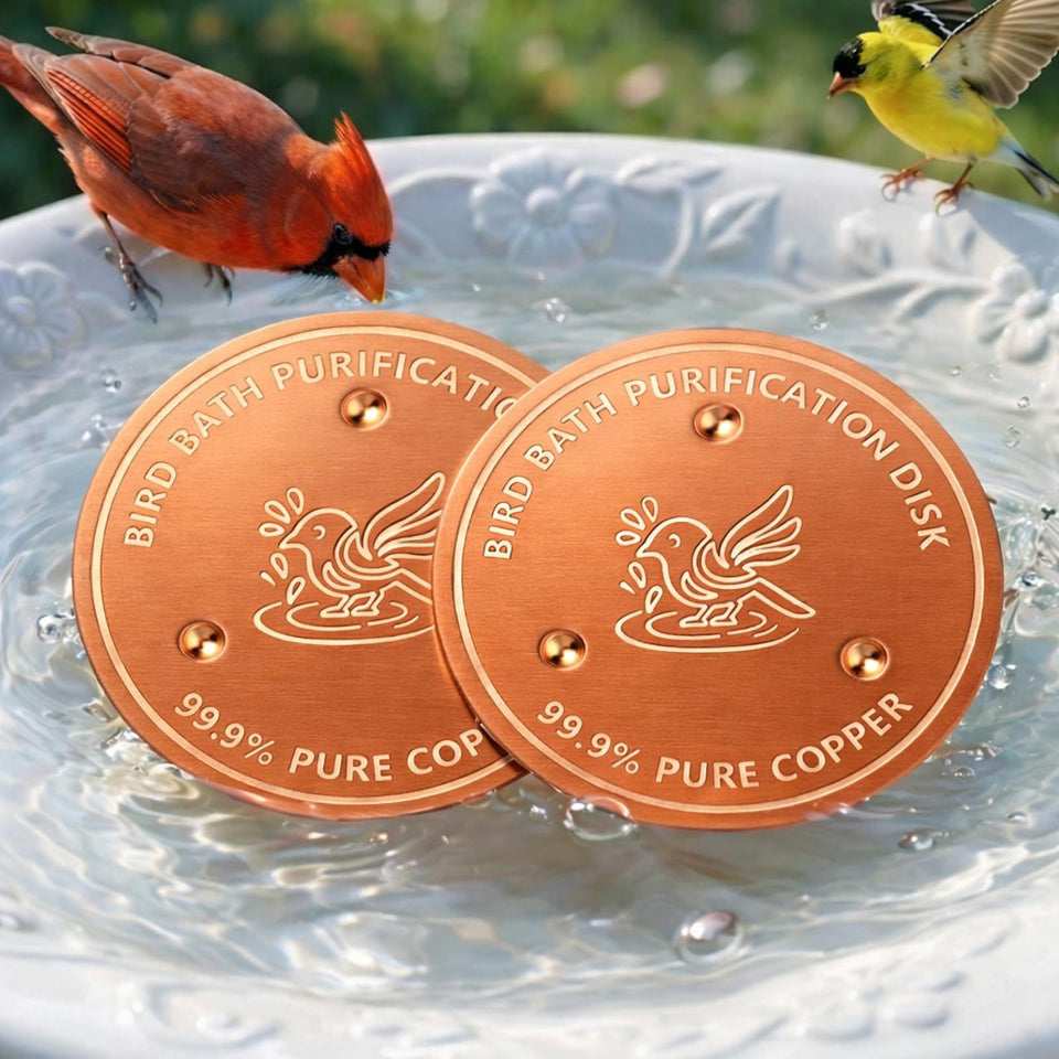 Factee bird bath copper disk 2-pack rests at the bottom to help keep water clearer.