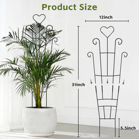 FAFTFTDY 31-inch metal trellis helps vines stay upright and organized.