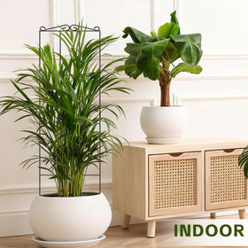 FAFTFTDY plant ties included help secure stems neatly.