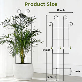 FAFTFTDY 31-inch tall trellis supports vertical growth in pots.