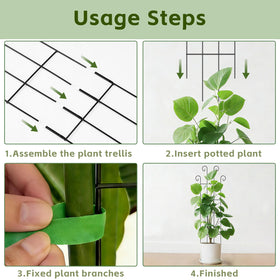 FAFTFTDY Supports ivy, pothos, monstera, and other vines for tidy growth.