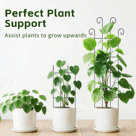 FAFTFTDY Metal trellis with anti-rust coating withstands outdoor conditions.