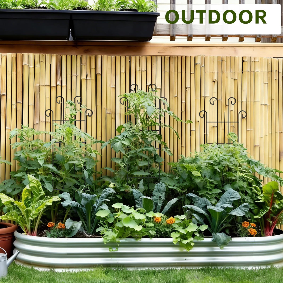 FAFTFTDY Wave-shaped trellis enhances pot appearance and vine organization.