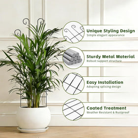 FAFTFTDY Two-piece design allows adjustable support as plants grow.