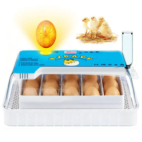 Failenfeivp incubator 15-35 egg capacity ideal for home hatching.