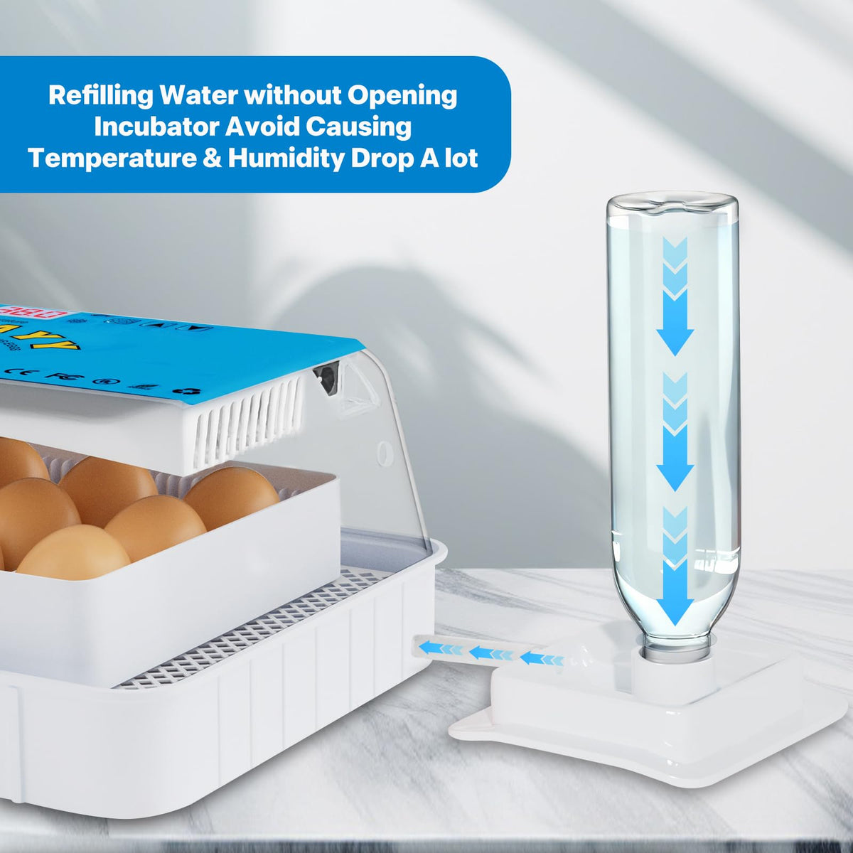 Failenfeivp incubator transparent lid for easy observation of eggs.