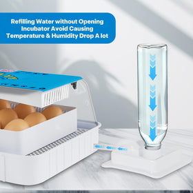 Failenfeivp incubator transparent lid for easy observation of eggs.