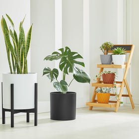 FaithLand planter with drainage holes view highlights water management for healthy roots.