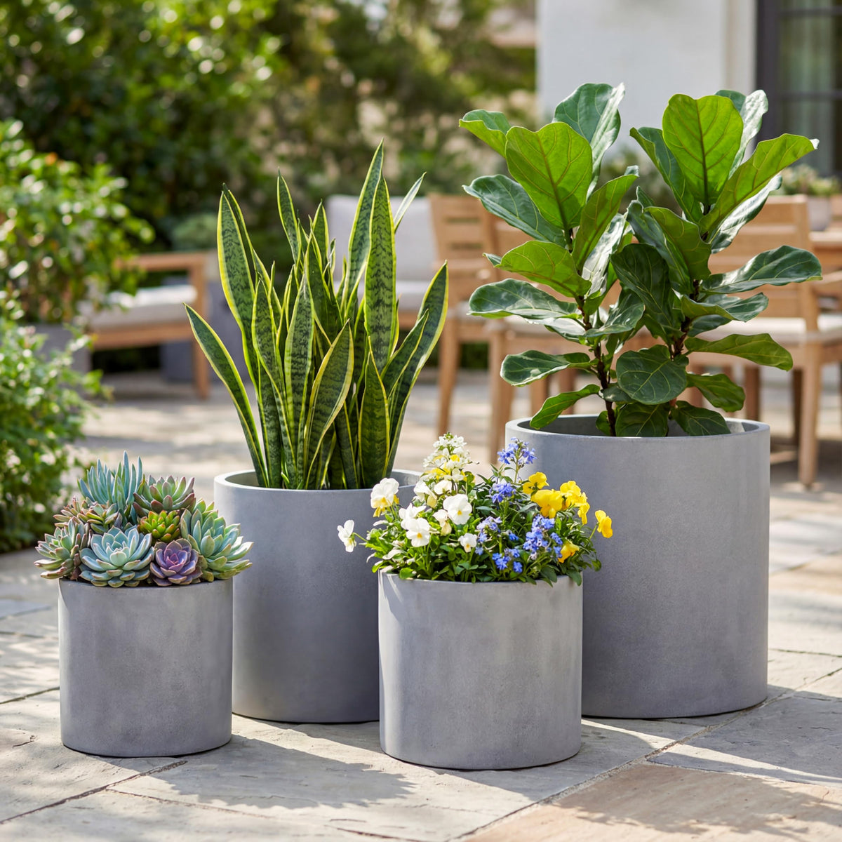 FaithLand mid-century stand pairing enhances contemporary plant displays