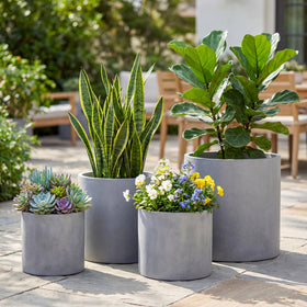 FaithLand mid-century stand pairing enhances contemporary plant displays