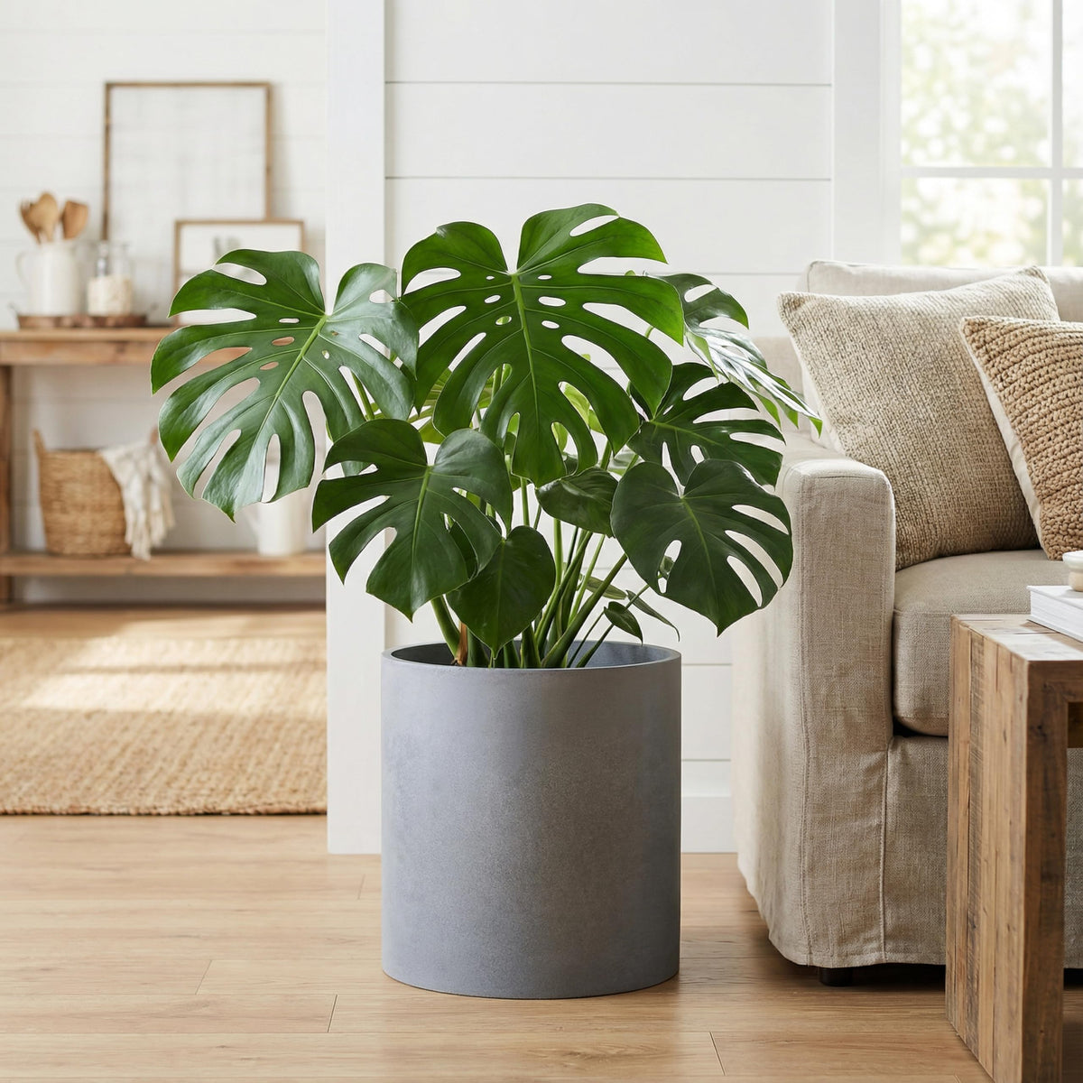 FaithLand UV-resistant finish resists fading in sun and rain