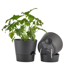 FaithLand 2-pack 10-inch planters with deep reservoir for extended hydration.