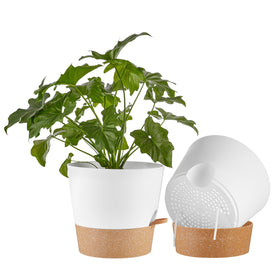 FaithLand 2-Pack 10-Inch Planter Pot, white with terracotta, top view for stylish indoor display.