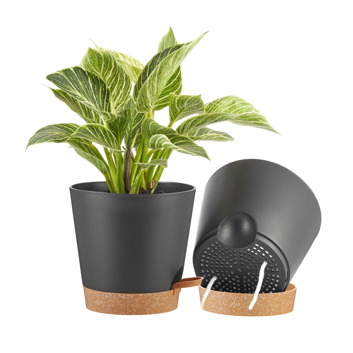 FaithLand 8-inch planter pot top view showing the deep reservoir for extended hydration.