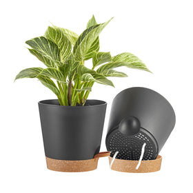 FaithLand 8-inch planter pot top view showing the deep reservoir for extended hydration.