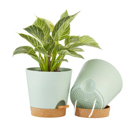 FaithLand 8-inch self-watering planter with deep reservoir for extended hydration