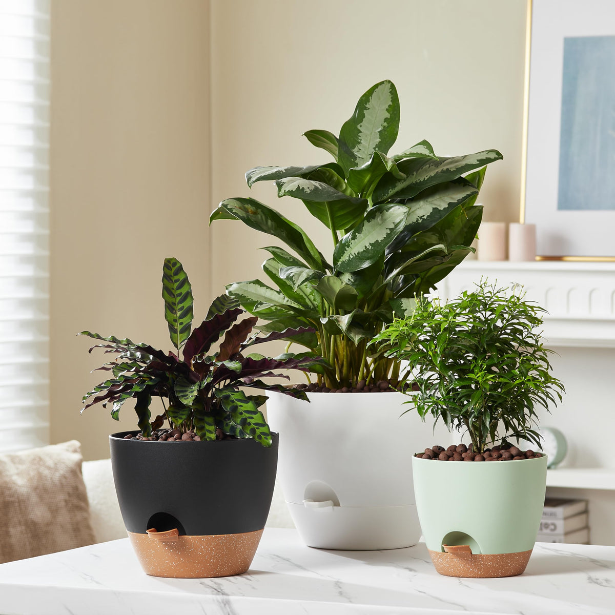 FaithLand matte finish planter pots blend with modern home décor.