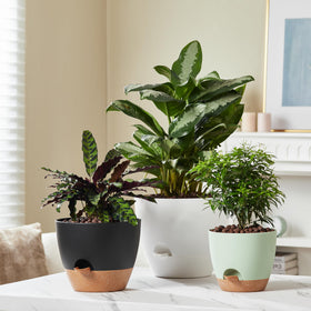 FaithLand matte finish planter pots blend with modern home décor.