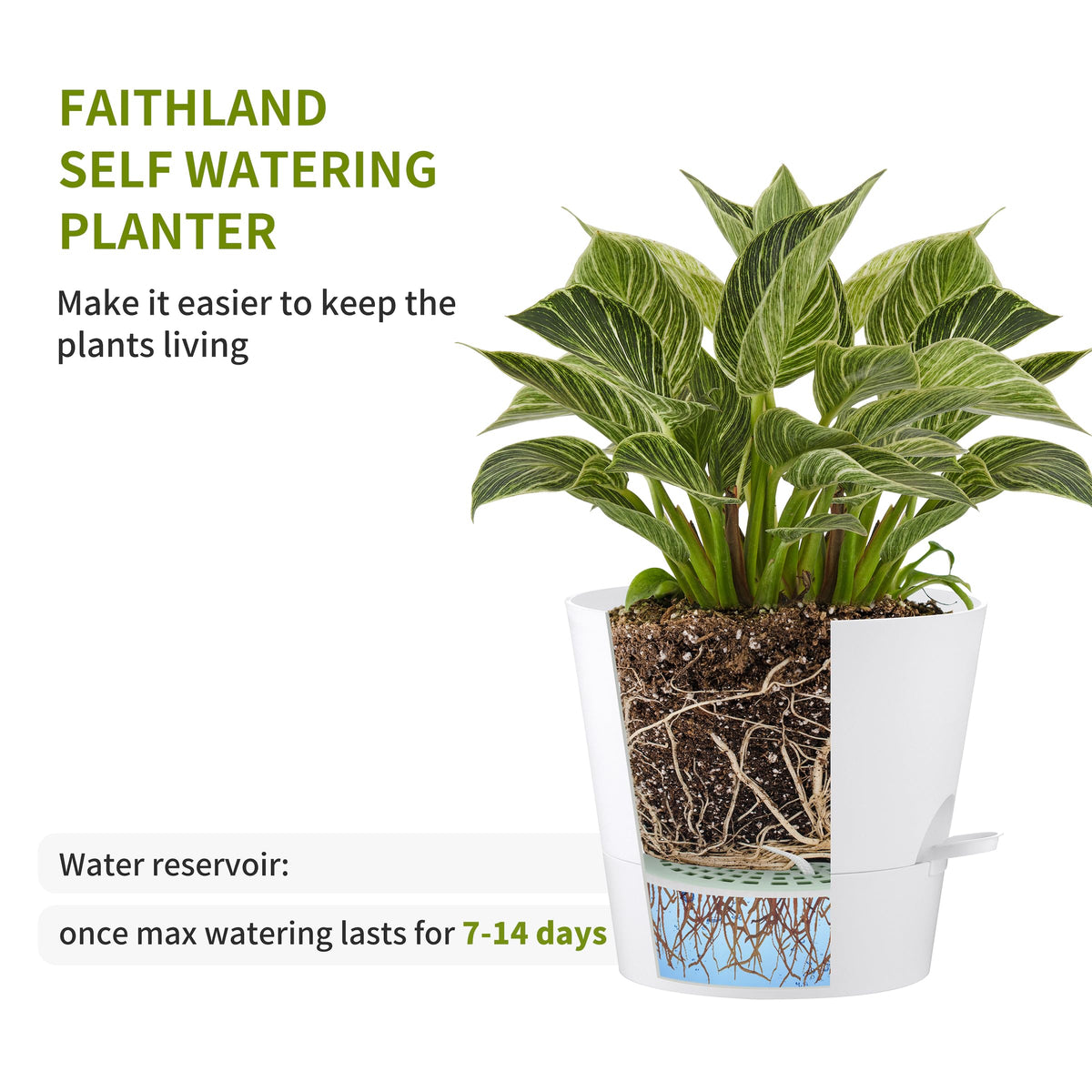 FaithLand planter with drainage holes for better airflow and root health.