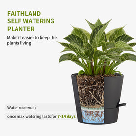 FaithLand planters with multiple drainage holes promote airflow.