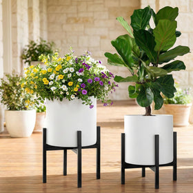 FaithLand stand in dining area as a stylish greenery accent