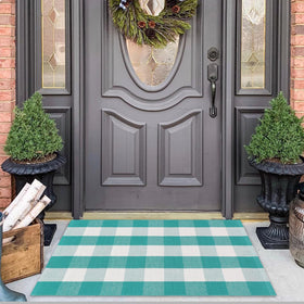 Fallovea door mat captures welcoming entry with durable fibers.