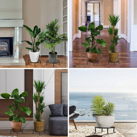 FAMIJOY 3-inch tall steel-based plant stand elevates pots for ventilation.
