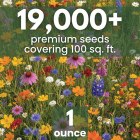 Family Sown 19,000 seeds close-up highlighting seed variety and quality for germination.