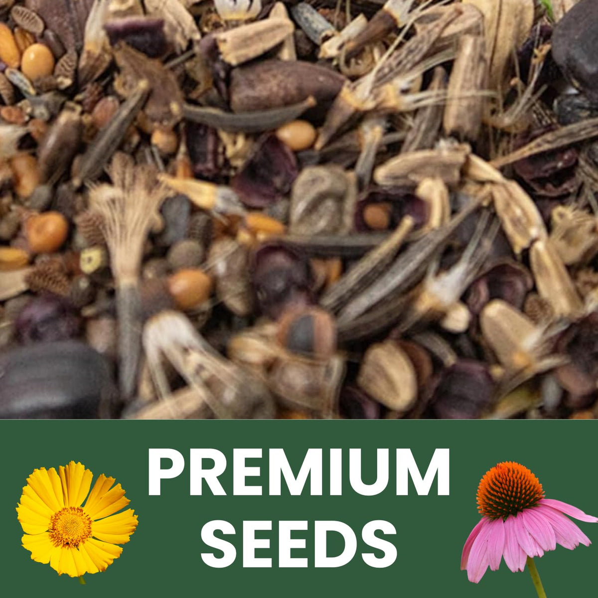 Family Sown 2026 seed pack designed for strong germination