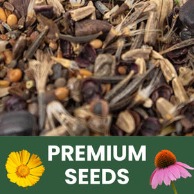 Family Sown 2026 seed pack designed for strong germination