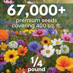 Family Sown 67k seeds bulk pack highlighting high germination potential for lush beds.